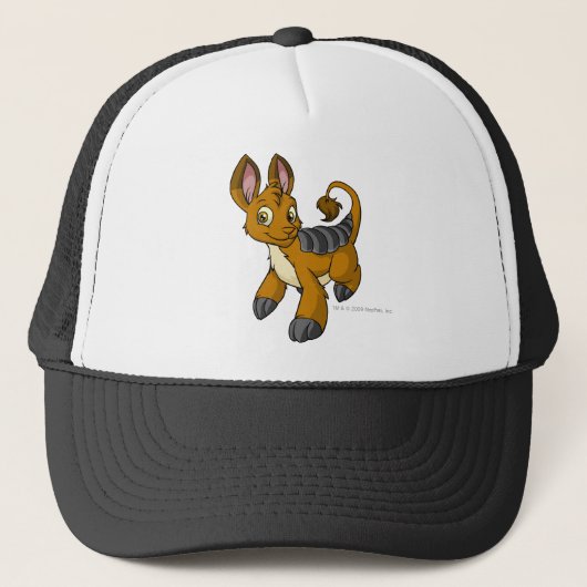 Casquette Brun de Bori (Devant)