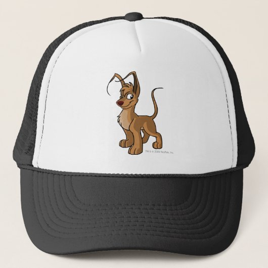 Casquette Brun de Gelert (Devant)