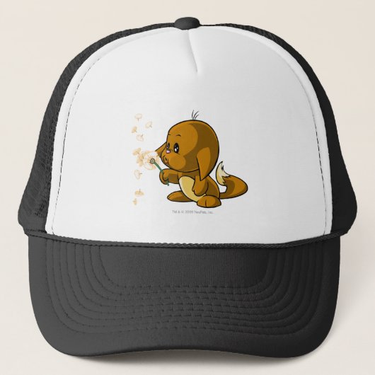 Casquette Brun de Kacheek (Devant)