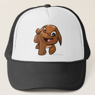 Casquette Brun de Poogle