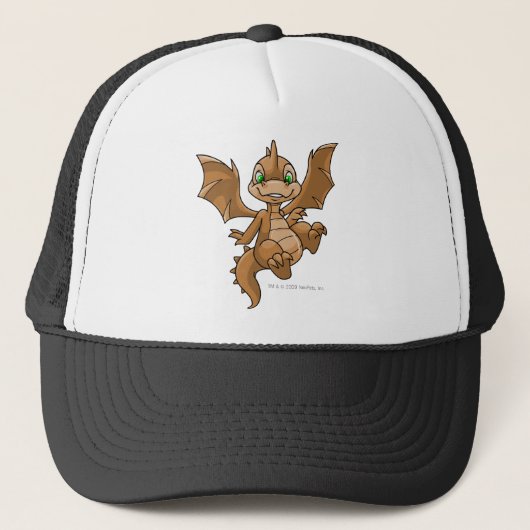 Casquette Brun de Scorchio (Devant)