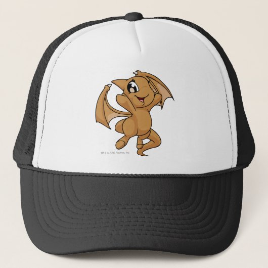 Casquette Brun de Shoyru (Devant)