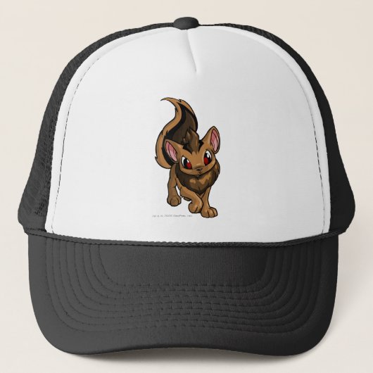 Casquette Brun de Xweetok (Devant)