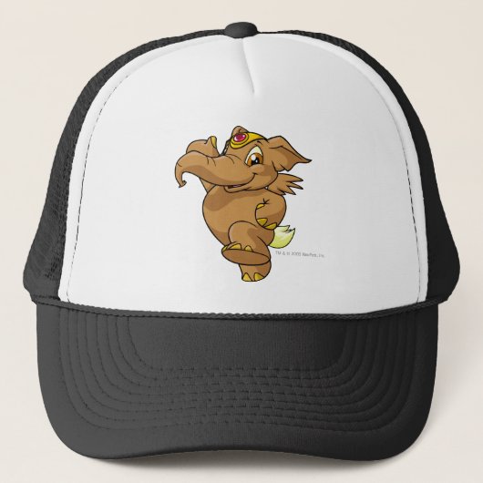 Casquette Brun d'Elephante (Devant)