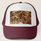 Casquette Buck in Fall Hunter Camo White Tail Deer (Devant)