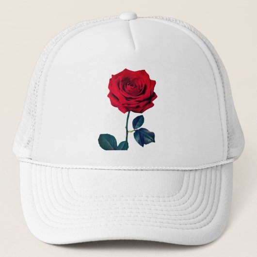 Casquette BuddhaToday V1 - #1 🌹 (Devant)