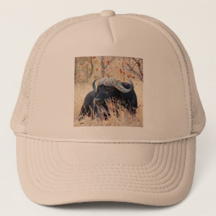 Casquette buffle d'eau
