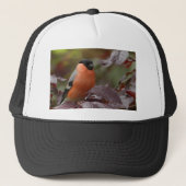 Casquette Bull Finch (Devant)