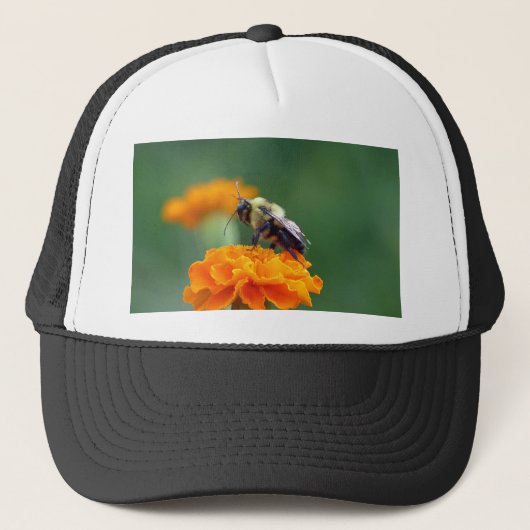 Casquette Busy Bee (Devant)