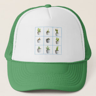 Casquette Cactus in pots