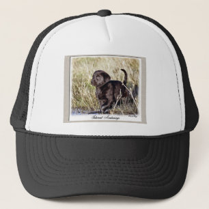 Casquette Cadeaux du Labrador Retriever