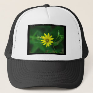 Casquette Cadeaux tournesol boisé du parc national de Hot Sp