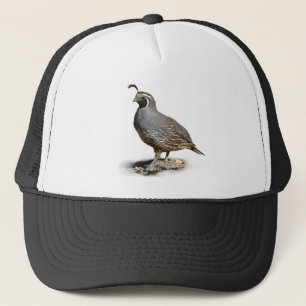 CASQUETTE CAILLES DE CALIFORNIE