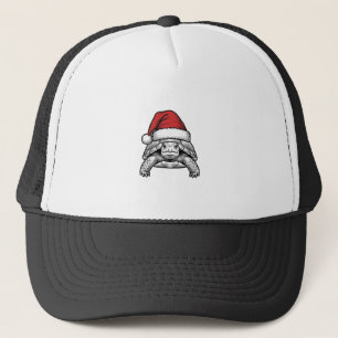 Casquette Calèche de Noël Tortue Chapeau de Père Noël Dessin