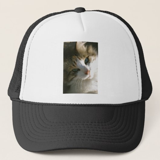 Casquette Calico Tiger (Devant)