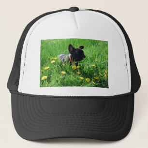 Casquette Calotte de Bulldogen