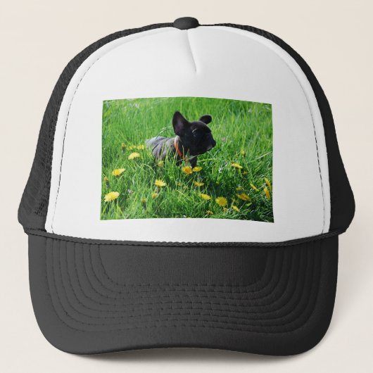 Casquette Calotte de Bulldogen (Devant)