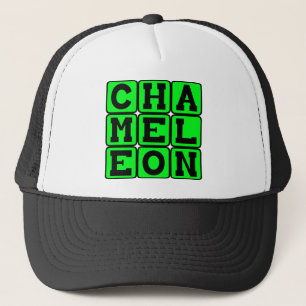 Casquette Caméléon, Lézard qui change de couleur