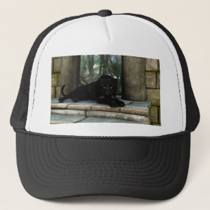 Casquette Camionneur Panther, casquette, à vendre !