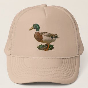 Casquette Canard de Mallard