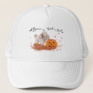 Casquette Caniche à Halloween