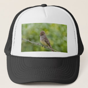 Casquette Capteur