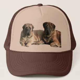 Casquette Capuchon de Mastiff