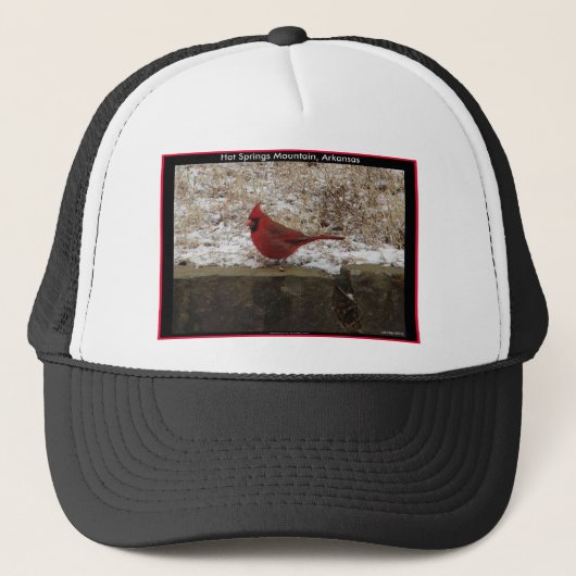 Casquette Cardinal Hot Springs Nat. Cadeaux AR Park Mountain (Devant)
