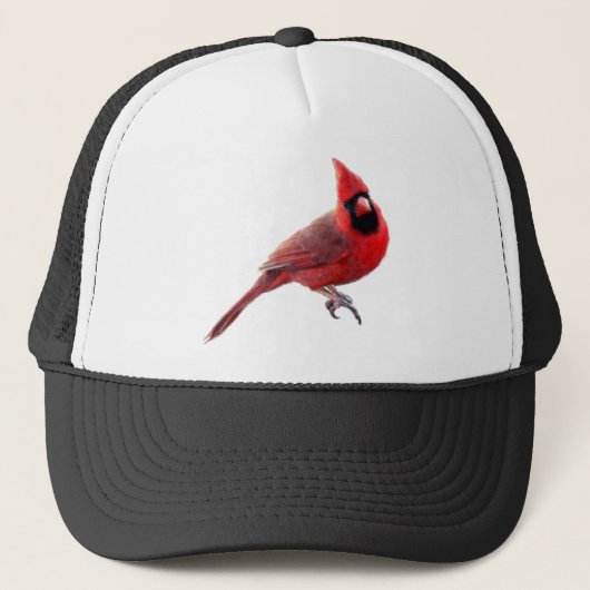 Casquette Cardinaux (Devant)