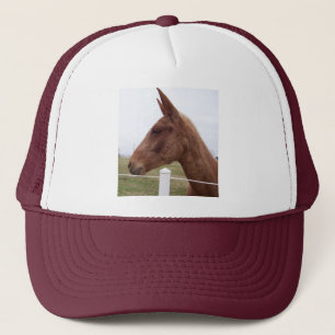 Casquette Casquette/casquette Mule-Dirigés