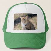 Casquette Cat (Devant)