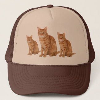 Casquette Cat