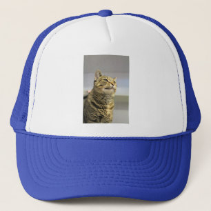 Casquette Cat