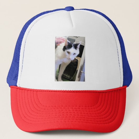 Casquette Cat (Devant)