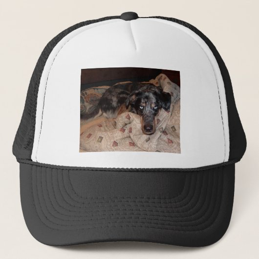 Casquette Catahoula Leopard Chien Snoozing (Devant)