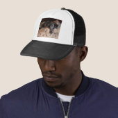Casquette Catahoula Leopard Chien Snoozing (En situation)