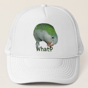 Casquette Ce qui ?