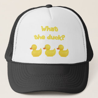 Casquette Ce qui le canard ?