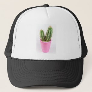 Casquette Cereus cactus dans un pot rose