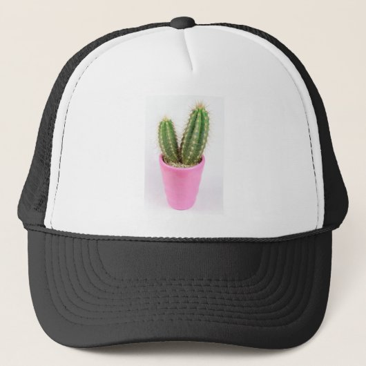 Casquette Cereus cactus dans un pot rose (Devant)