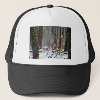 Casquette cerf à queue blanche dans la neige
