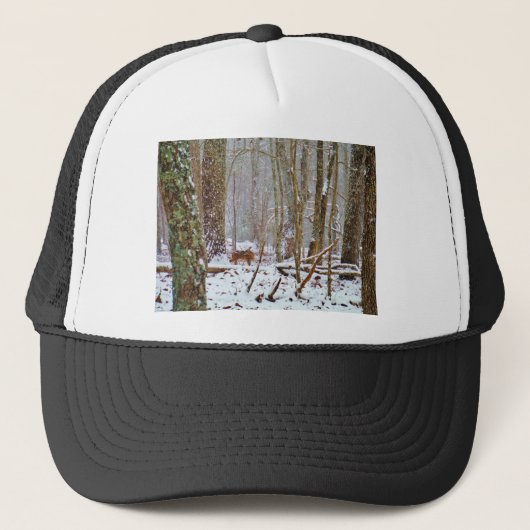 Casquette Cerf dans la neige, lécher la jambe (Devant)