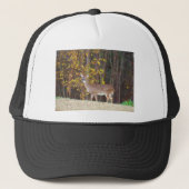 Casquette Cerf devant l'arbre d'automne jaune (Devant)