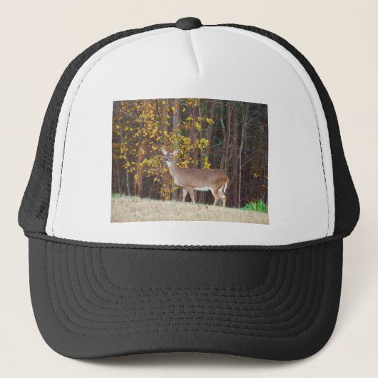 Casquette Cerf devant l'arbre d'automne jaune (Devant)