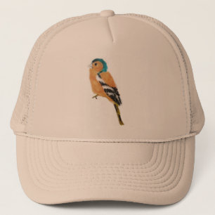 Casquette Chaffinch Bird Art