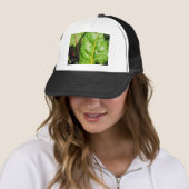 Casquette Chaînes suisses (En situation)
