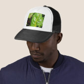 Casquette Chaînes suisses (En situation)