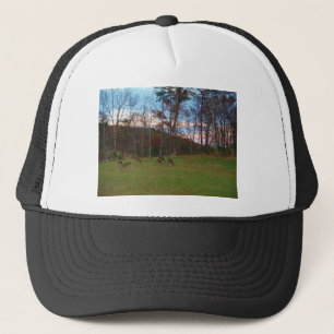 Casquette Champ de cerf et un SunSet rose