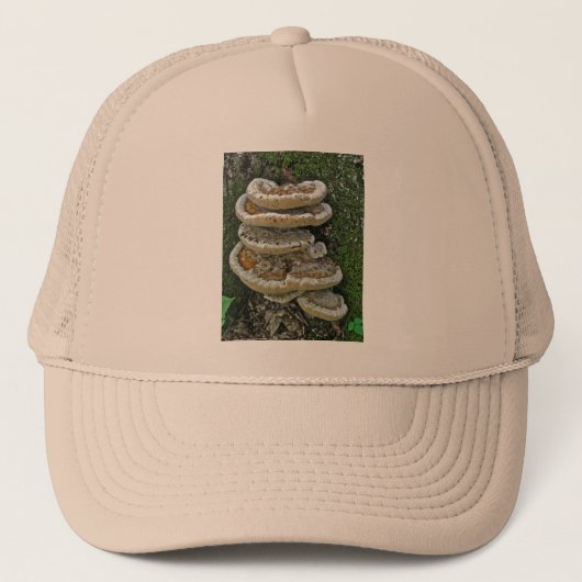Casquette Champignons de plateau sur souche (Devant)