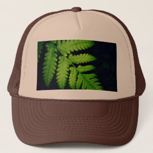 Casquette Chapeau marron et bronzé à motif de feuille verte